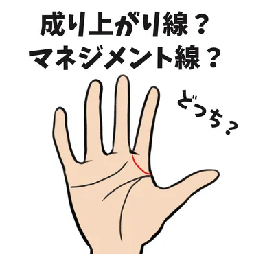 手相の成り上がり線（千金紋）と間違いやすい？マネジメント線とは！ 