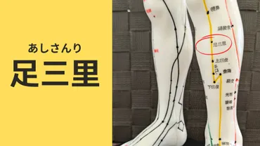 視聴まとめ】NHKスペシャル「東洋医学を゛科学゛する~鍼灸(しんきゅう)・漢方薬の新たな世界」│マッチ鍼灸整骨院