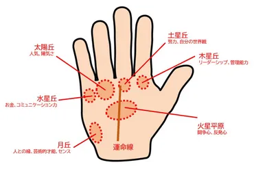 手相に星マークがあったらラッキー？ 占い師がその見方と意味を教えます！ 