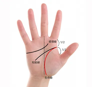 手相でわかる！あなたの運命は？手相とは！？