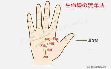 手相占い】生命線の見方と意味を徹底に解説！要注意やラッキーと見られる生命線も紹介！