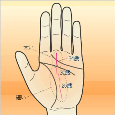 運命線からわかる仕事運？！あなたに合った仕事は？手相で読み解く、人生の羅針盤とは！？