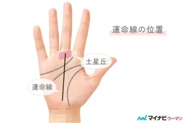 手相で「仕事運」を見る方法＆仕事線の見方【手相占い】