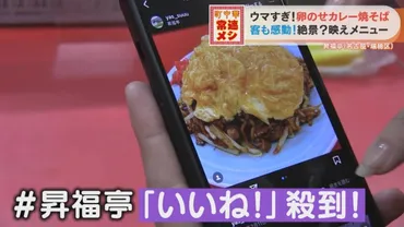 反則級のウマさ！？「中華×カレー」がSNSで大バズリ「卵のせカレー焼きそば」 