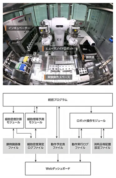 理研、ヒューマノイドロボットとAIによる自律細胞培養システムを開発 