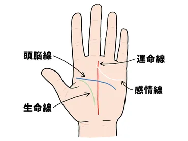 すぐできる！モテる即席占い】手相の基本「４大線」を覚えよう！ メンズノンノウェブ 