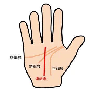 手相の縦線はあなたの未来を語る？手相の縦線とは！？
