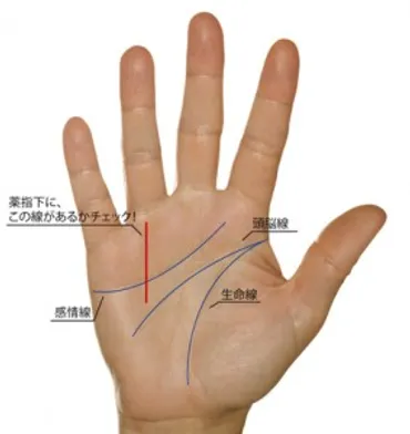 薬指下にくっきり縦線があると運気絶好調のサイン!! 手相でわかる今のあなたの運勢 