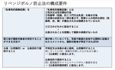 リベンジポルノ防止法とは？その構成要件・量刑・判例など徹底解説！ 