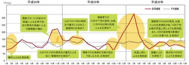 野菜の値段を調査！平均価格や変動の理由 