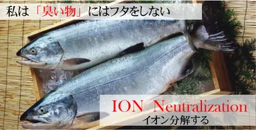 魚の生臭さ(トリメチルアミン)を瞬間イオン分解消臭！ =カルファケミカル株式会社=