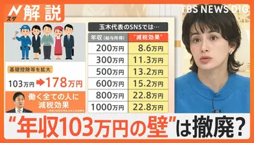 年収103万円の壁゛は撤廃？ 8兆円の減収に…財源どうする？ 自民・国民 政策協議開始へ【Nスタ解説】 