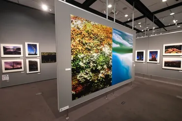 Exhibitionとは 相原正明写真展 On The Earth 超大陸オーストラリア : 写真家・相原正明のつれづれフォトブログ