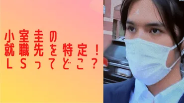 小室圭の勤務先はL！経歴詐称もコネで大手弁護士事務所へ！ 