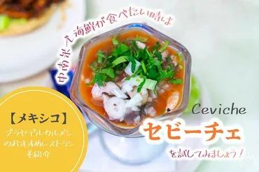 メキシコ】中南米で海鮮が食べたい時はセビーチェ!プラヤデルカルメンのおすすめレストランも紹介
