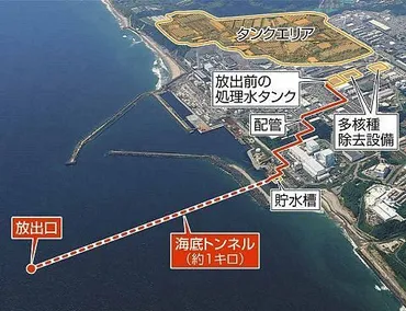 福島産水産物は輸入しない」と韓国大統領府 原発処理水の海洋放出巡る尹錫悦氏の発言に世論が反発：東京新聞 TOKYO Web