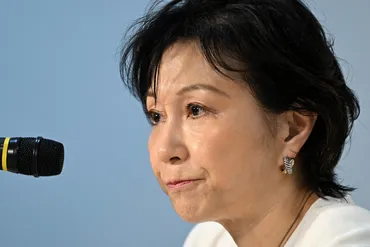 佐藤ゆかり氏、政界「離脱」 衆院選に出馬せず「引退ではない」 