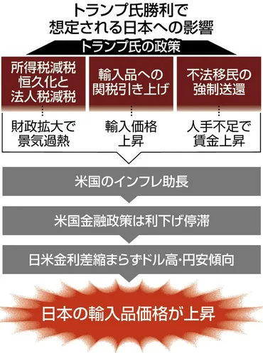 トランプ物価高」が来る？アキダイ社長も警戒 アメリカ第一主義は日本の家計にどんな影響があるのか：東京新聞デジタル