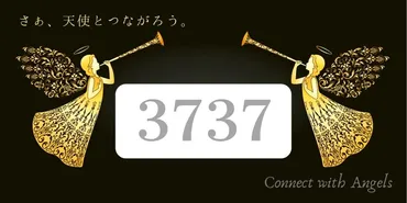 エンジェルナンバー3737と恋愛！ツインレイ『より良い未来へ導かれています』 