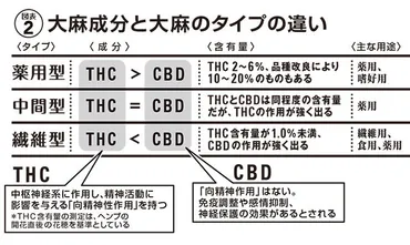 取締法改正でどうなる？ 日本における良い大麻、悪い大麻を規定「大麻業界」の今とこれから 