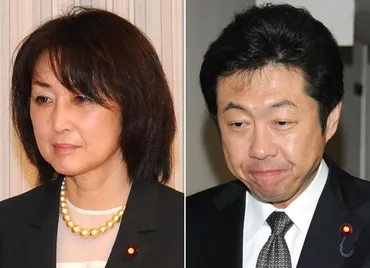 中川郁子議員のスキャンダルは今!?政治家にとっての致命傷とは!!?