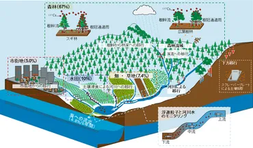 福島第一原子力発電所事故により放出された放射性セシウムの環境中での動きは、チョルノービリ（チェルノブイリ）事故 後の付近での動きとどのように異なりますか。