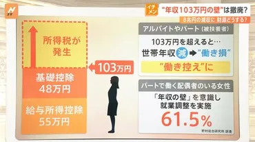 年収103万円の壁゛は撤廃？ 8兆円の減収に…財源どうする？ 自民・国民 政策協議開始へ【Nスタ解説】 