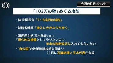 103万円の壁を巡る゛攻防゛で「財務省が置き去りに…」 国民民主党の主張と財務省の懸念 エコノミスト末廣徹氏「玉木さんが損しない構図」 