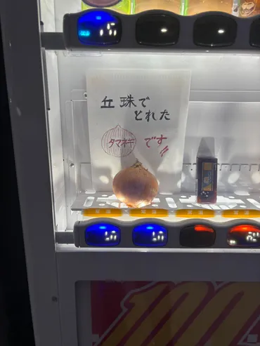 北海道の自販機はタマネギが買えるってホント!?「誘惑に駆られて購入…」設置業者が語る意外な理由