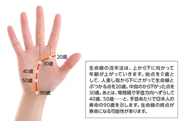 生命線とは？寿命も見える？特徴別の意味と手相の見方5選！